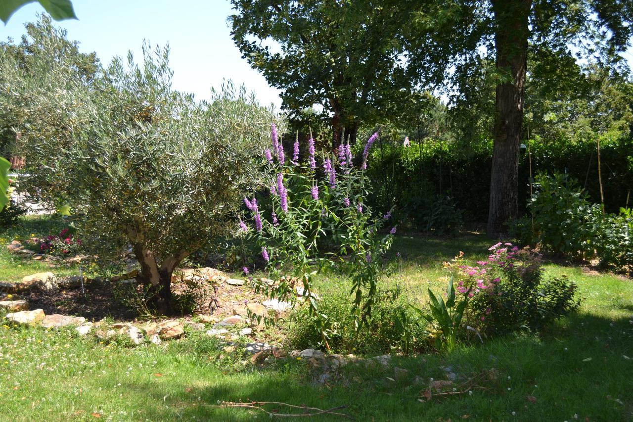 Hôtel Le Castel Brissac-Quince Buitenkant foto