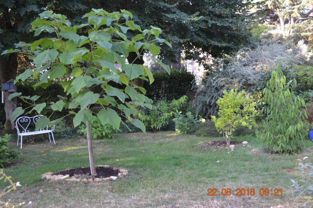 Hôtel Le Castel Brissac-Quince Buitenkant foto