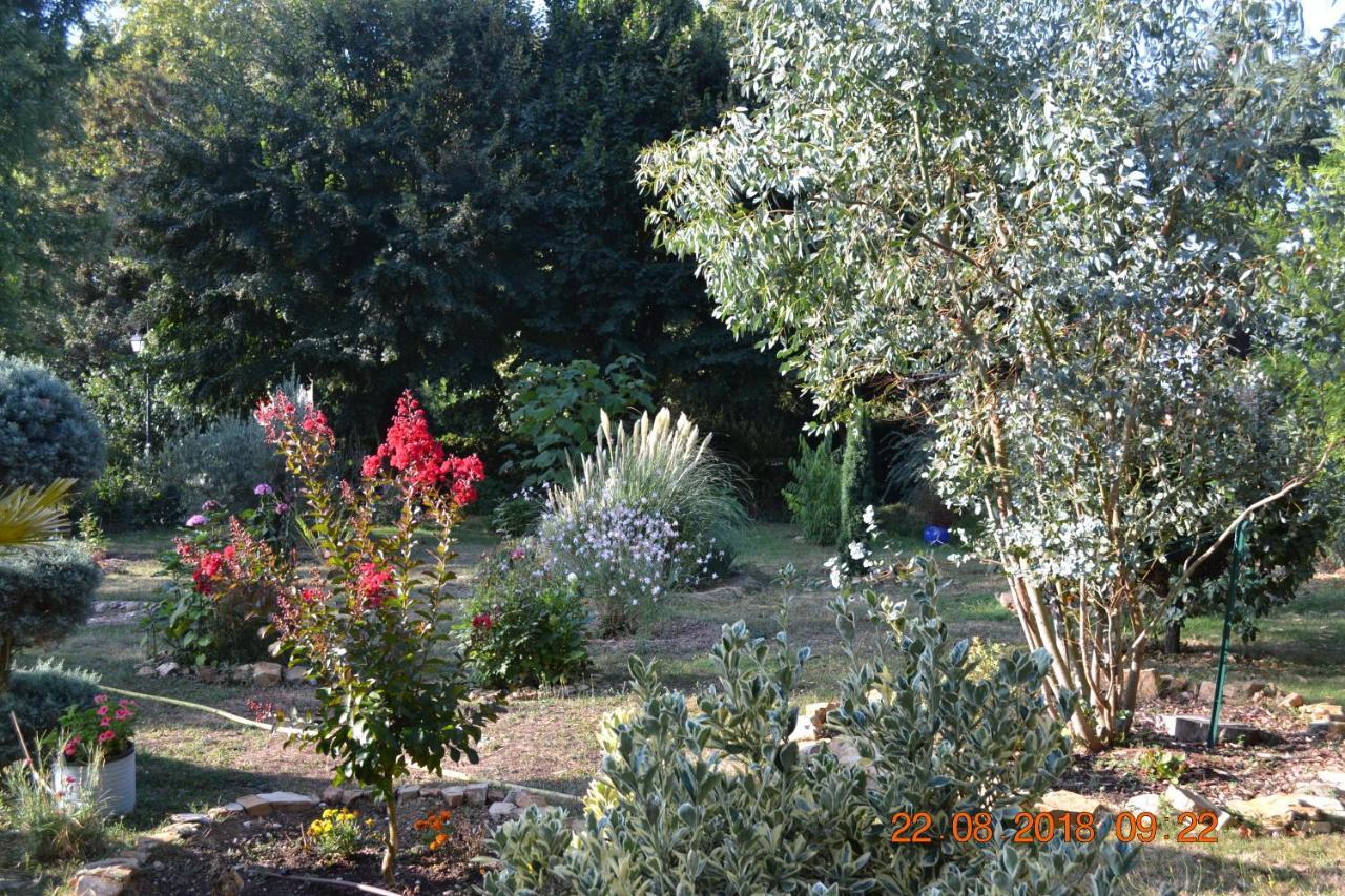 Hôtel Le Castel Brissac-Quince Buitenkant foto